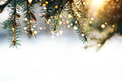 Tree Limbs with Lights - Guide to Solar Powered Cchristmas Lights